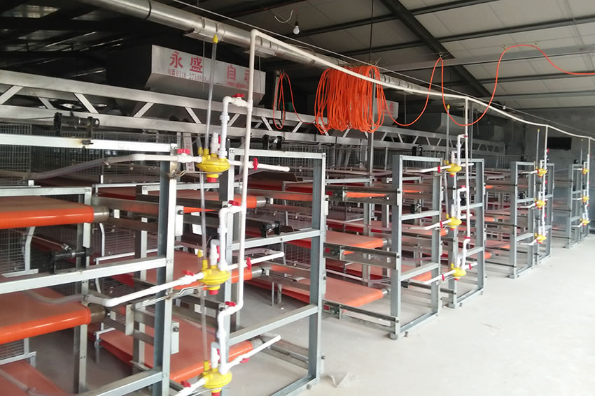 自動(dòng)喂料機(jī)的改進(jìn)